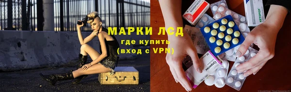 прущие грибы Балабаново