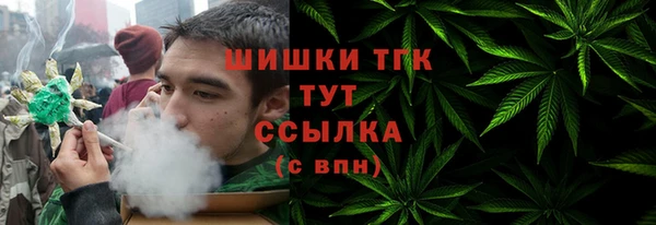 прущие грибы Балабаново