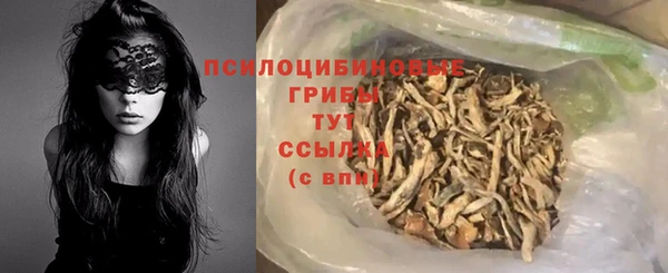 прущие грибы Балабаново