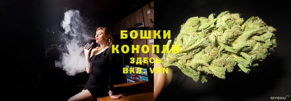 прущие грибы Балабаново