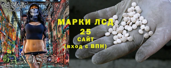 прущие грибы Балабаново