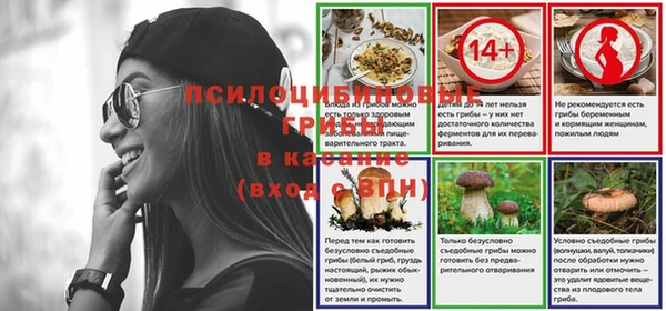 прущие грибы Балабаново