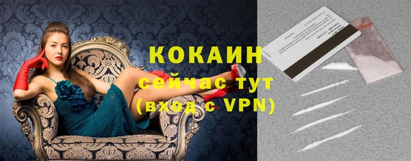 прущие грибы Балабаново