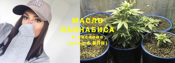 прущие грибы Балабаново