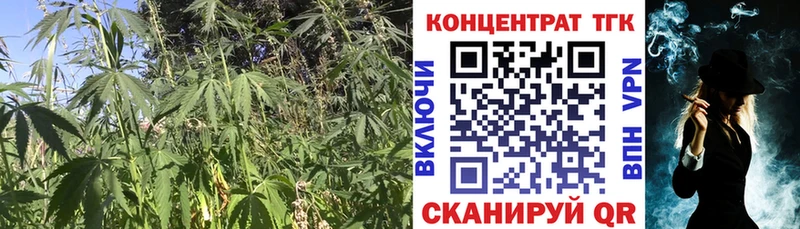 Дистиллят ТГК жижа Теберда