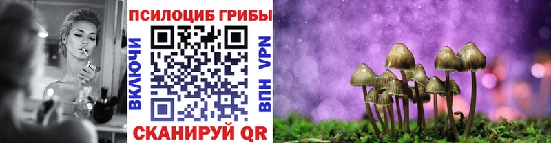 Псилоцибиновые грибы Psilocybine cubensis  Теберда 